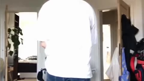 funniest clips
