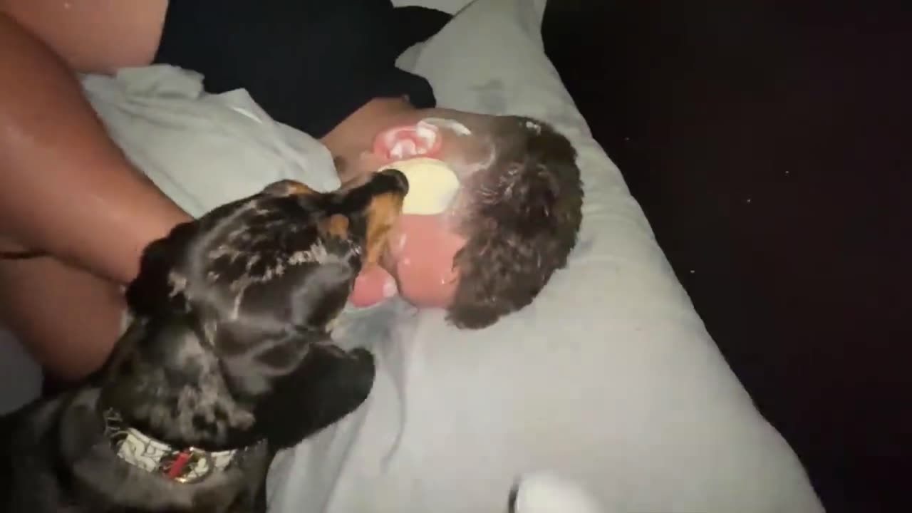 PUPPY LICKING PRANK! - BEAST PRANK