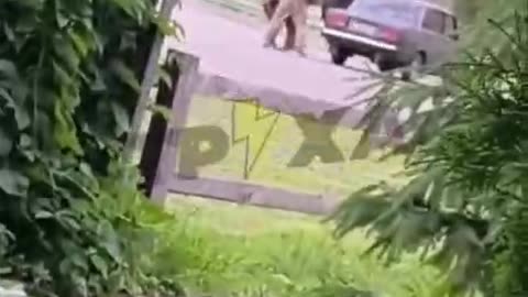 Another "volunteer"