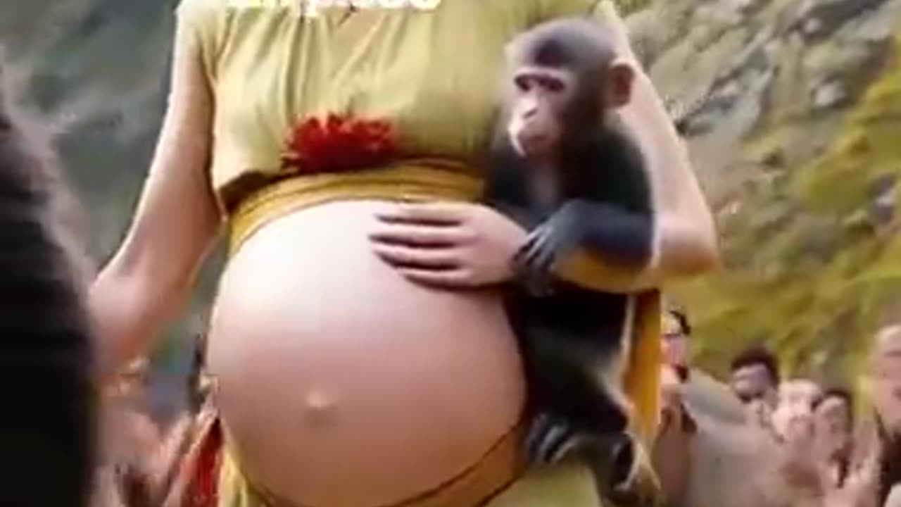 One tha amazing video animals