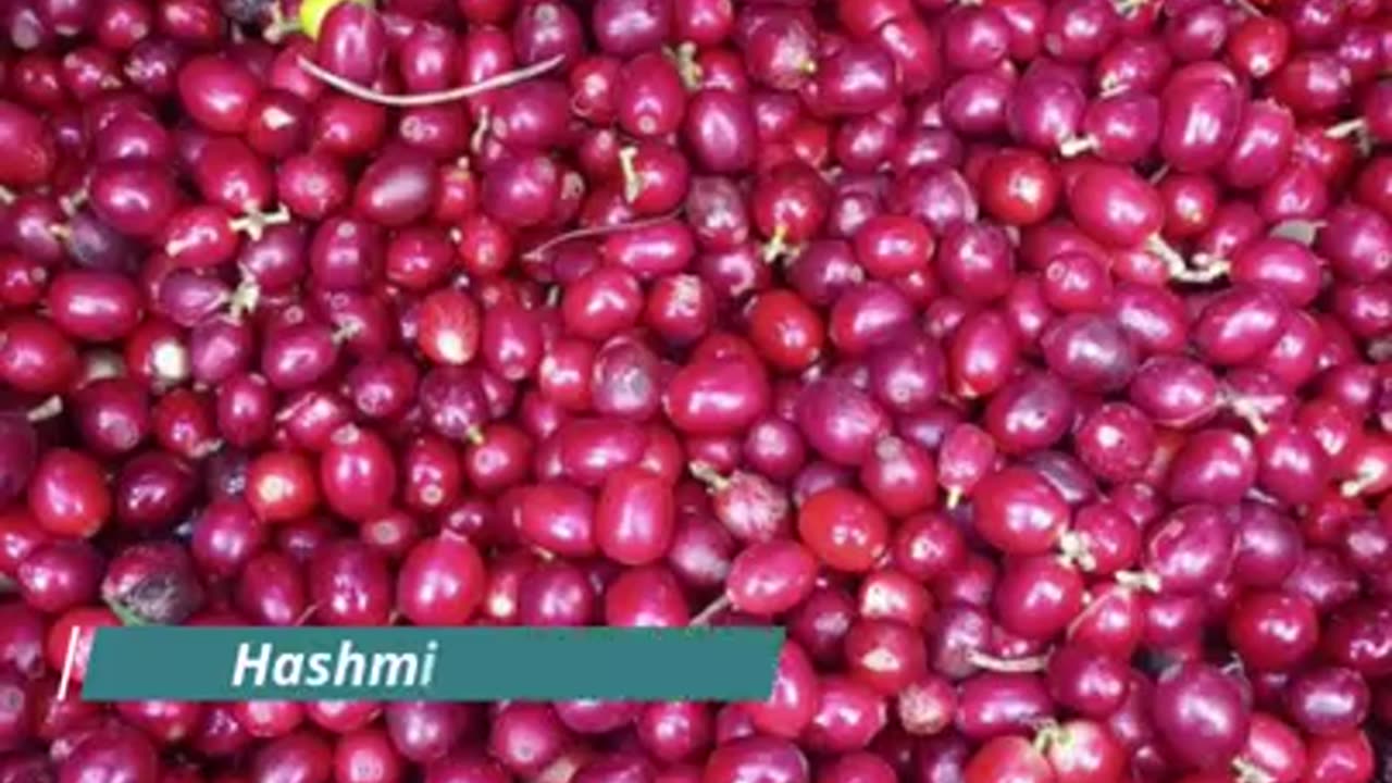 Garmi me Phalsa khane ke fayde