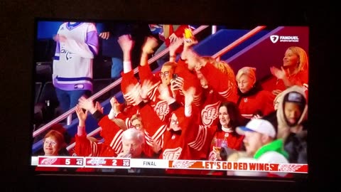 DET vs WSH - Red Wings Win 5-2