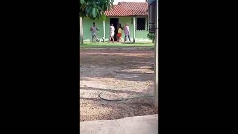 Stick Women Give A Good Licking