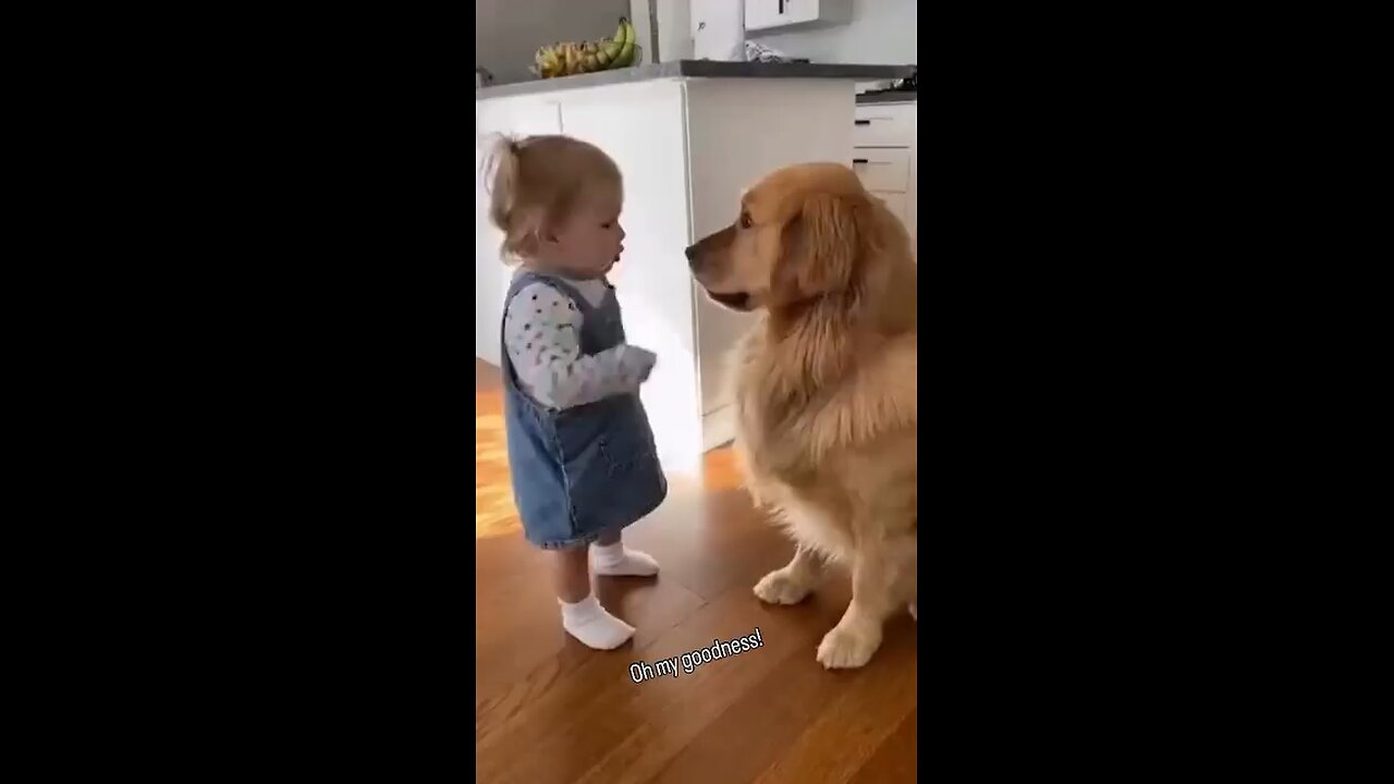 Not eat my cookie 😍#funnydog #dog #funnydog