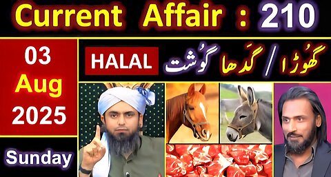 210-Current Affair: 🔥 Donkey Meat Scandal ? ❤️ Reply to Sahil Adeem حفظہ اللہ 🔥 Engr. Muhammad Ali