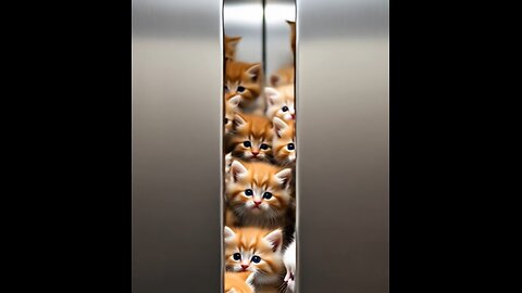 Tiny AI Cats Take Over an Elevator 🐱🚪 – Funny 15s Short Video