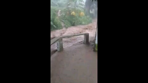 Sears flood in my backyard