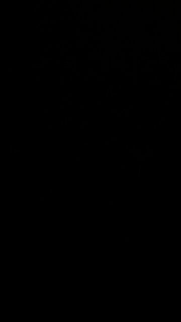 Tennessee Special Election