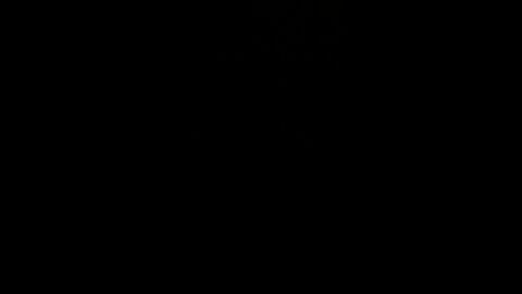 Tennessee Special Election