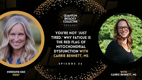 Ep 036: You’re Not ‘Just Tired.’ Why Fatigue Is The Red Flag of Mitochondrial Dysfunction