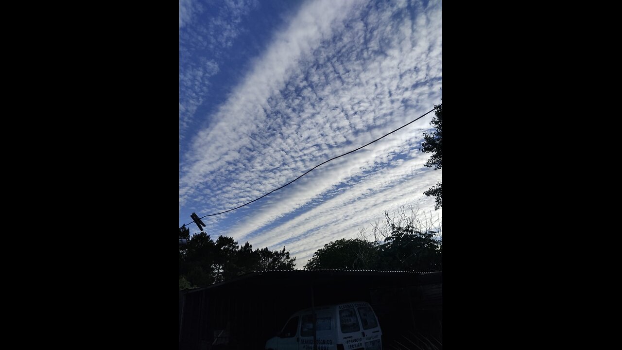 Crecen los PENES y los $IENTÍFICOS se preocupan