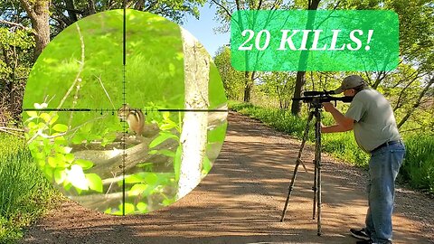Scope Cam Chipmunk Hunting! Memorial Day Weekend Pest Hunt 2025