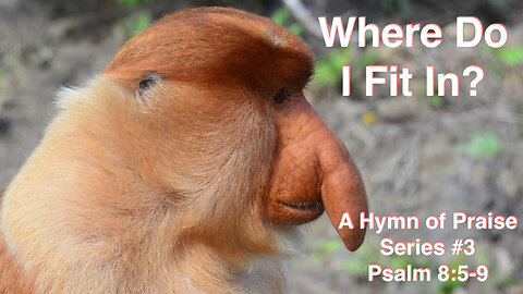 Where Do I Fit In? (Psalm 8 Series #3) Psalm 8:5-9