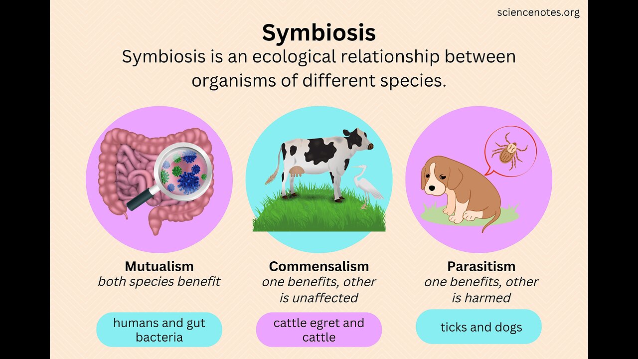 Symbiosis and Relationships