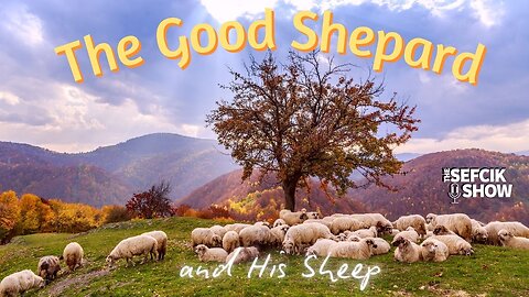 The Good Shepard