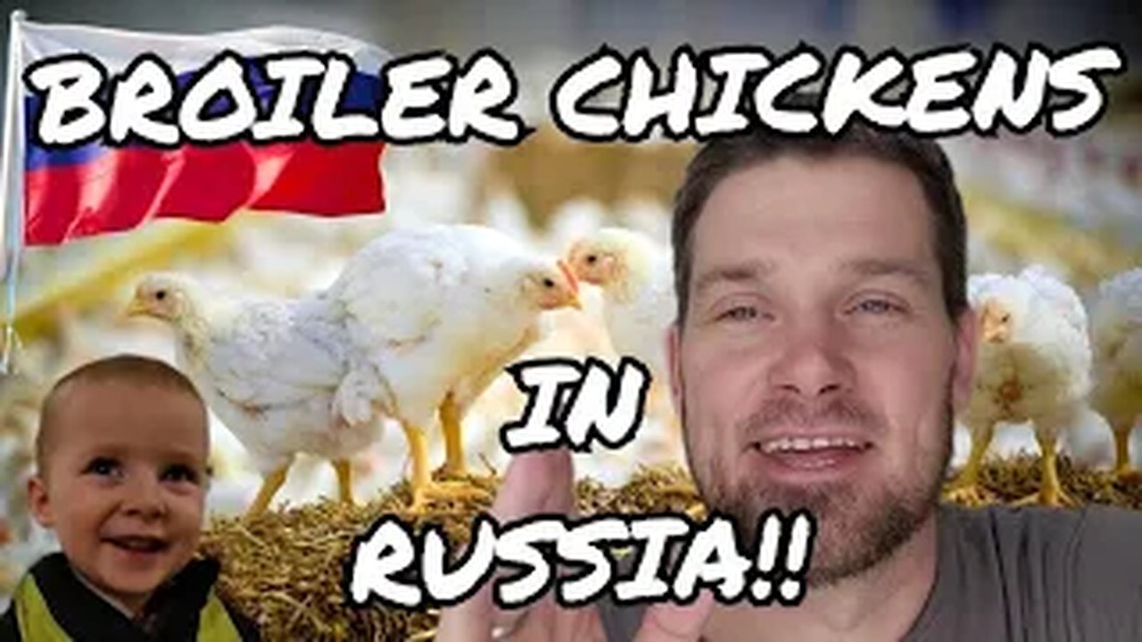 MODERN RUSSIAN CHICKEN FARM! #28
