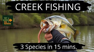 Creek Fishing White Oak Creek southern Ohio