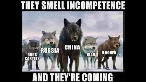 Memes, Politics and Reality #35