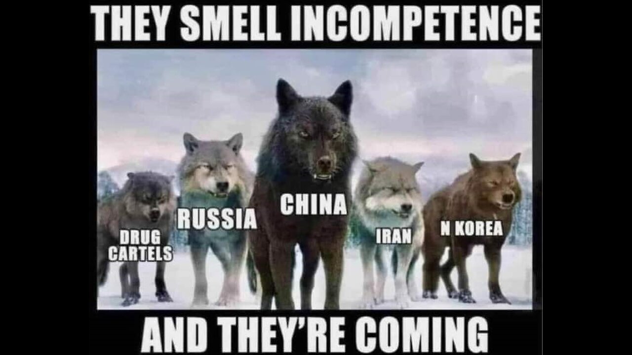 Memes, Politics and Reality #35