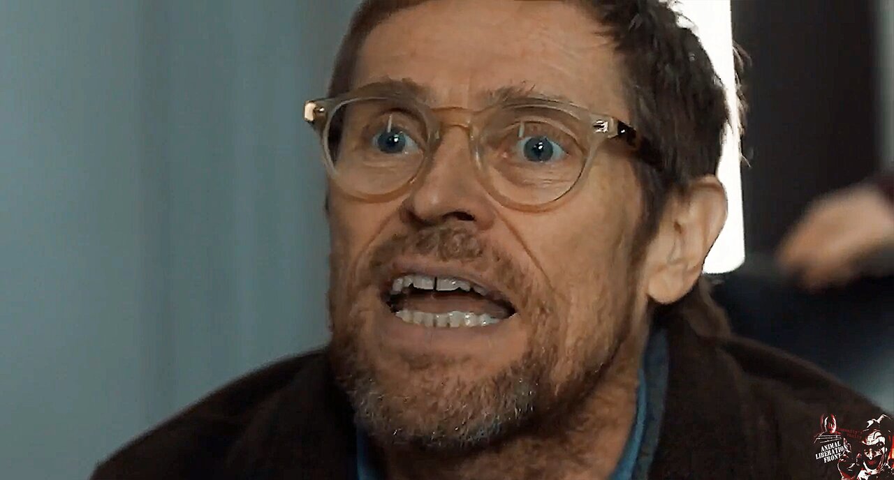 You’re A Failed Experiment