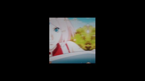 Sakura edis
