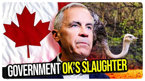 Meanwhile in Canada... Government Cull OK'ed! D.C. Success Story! John Bolton RAIDED! & MORE!