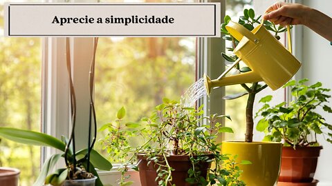 Menos é mais! O segredo japonês para uma casa leve 🏡🌿