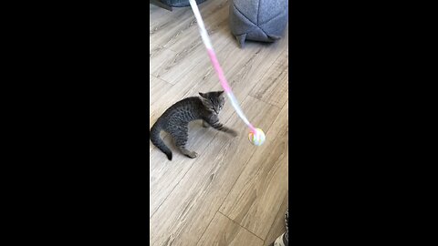 :3
