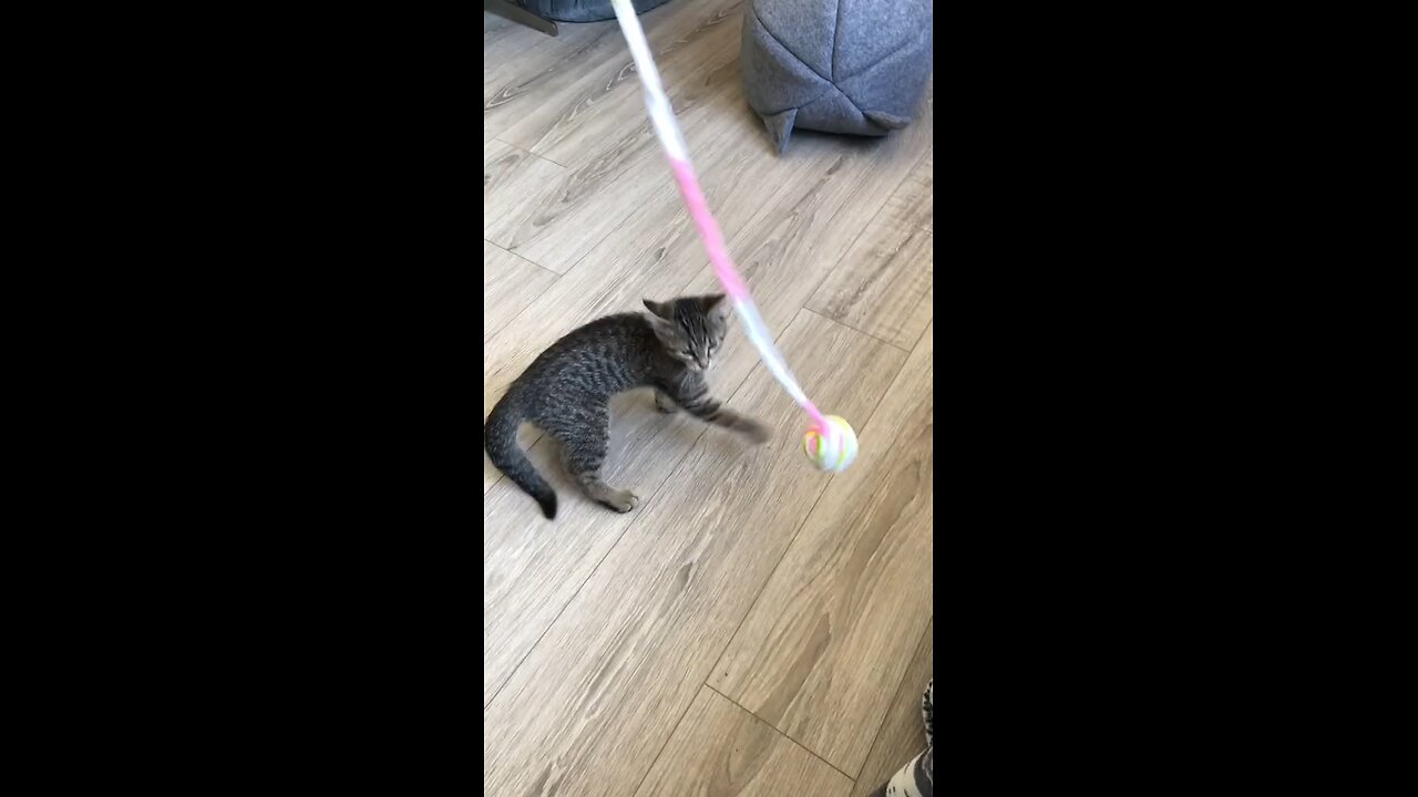 :3