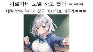 VR챗으로 야한 ASMR 하다가 결국 영상 비공개 되어버린 시로가네 노엘(카난)