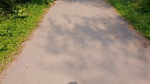 Mohamaya Lake Road.. 🤩