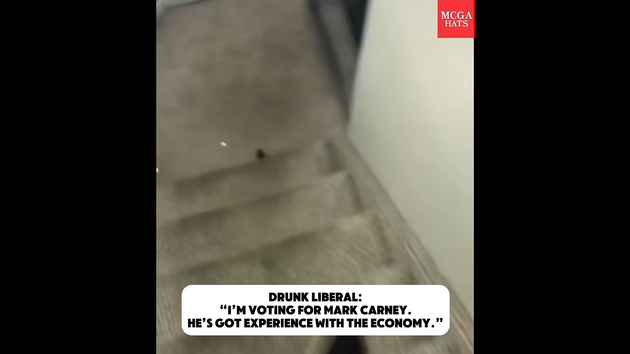 POV: your drunk friend is voting liberal…