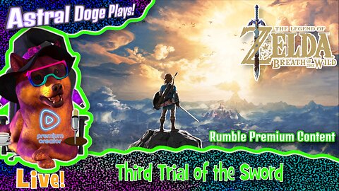 Zelda: Breath of the Wild ~RUMBLE PREMIUM!~ Third Trial of the Sword