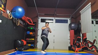 WTD 2 Step Kick Combination 155