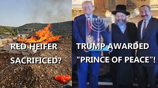 TRUMP GIVEN TITLE "PRINCE OF PEACE"/ RED HEIFER SACRIFICED?