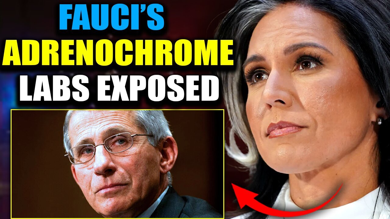 Tulsi Gabbard Exposes Fauci's Ukraine Biolabs as Adrenochrome Factories