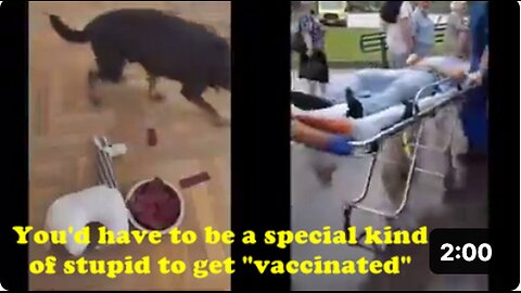 "Extraordinary Ignorance Required to Avoid Vaccination"