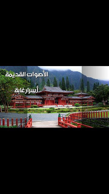 همسات الغابة: أسرار الأصوات القديمة!