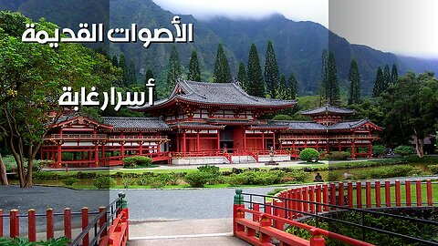 همسات الغابة: أسرار الأصوات القديمة!