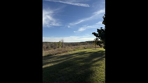 Throwback fingerboard clip