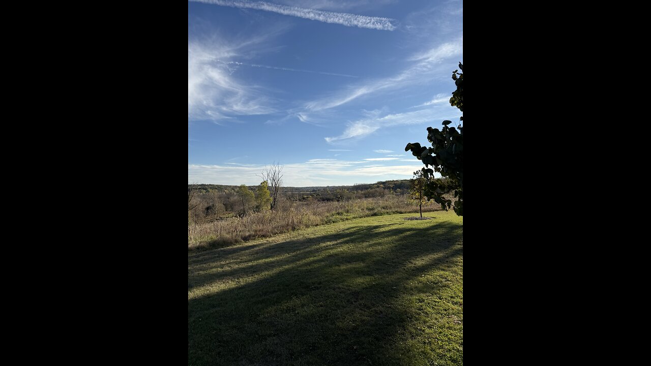 Throwback fingerboard clip