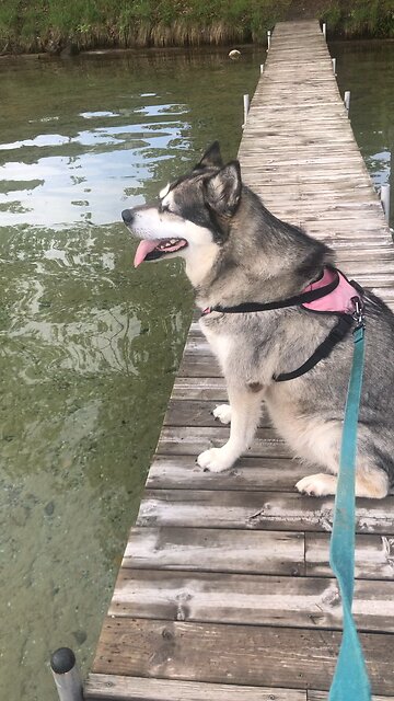 Thursday, May 29, work hard and cheerfully at whatever you do.