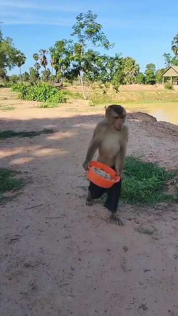 Well Best SokYaa, OG, Pao & Mom Are Famous Around The World #shorts #anime #trend #edit