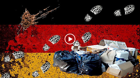 A member of the German Bundestag was called to order for displaying the German flag