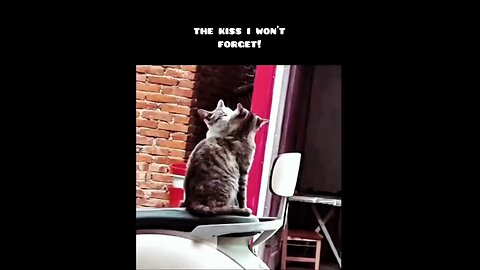 She Kissed Me in the Middle of Nowhere — A Moment I’ll Never Forget#ViralKiss