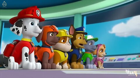 PAW Patrol Cartoons