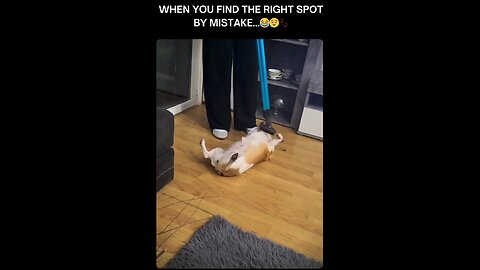 when he found right spot accidentally #funny #viral #shorts