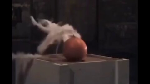 #GRAVITY#EXPERIMENT#