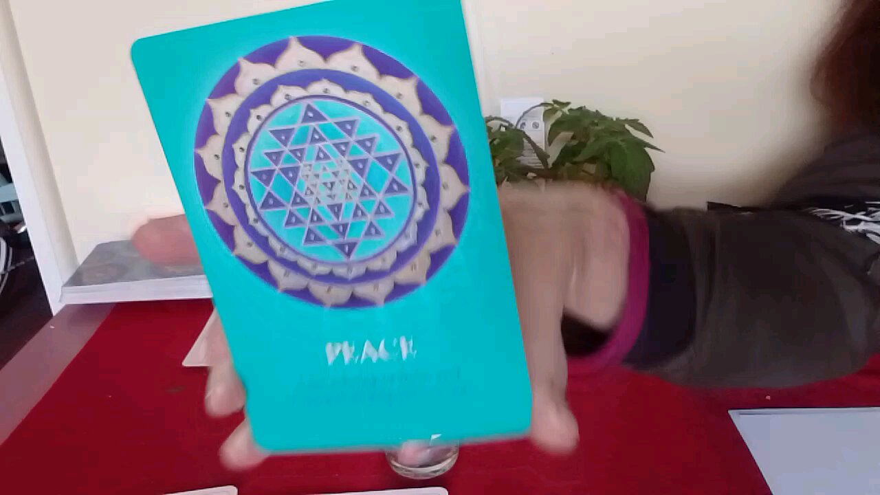 🧿 I meditated for a geopolitical message and what I received is not at all what I expected!! 🐬🌍