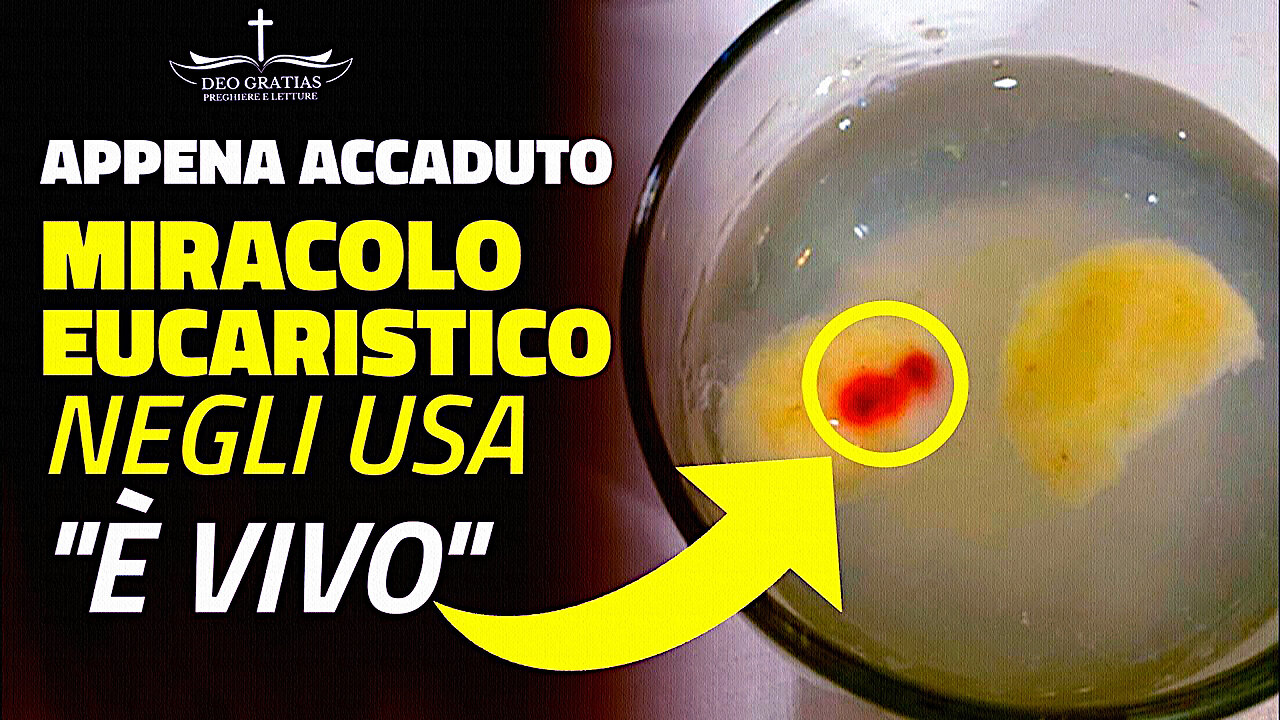 #GESU È VIVO E PRESENTE IN CORPO, ANIMA E DIVINITÀ, IN TUTTI I TABERNACOLI DEL MONDO: “🛑ANCORA UN MIRACOLO EUCARISTICO NELLA CHIESA DI SANT'ANTONIO DA PADOVA A MORRIS -INDIANA- /|IL VERO RISVEGLIO COMINCIA DA QUI!!|\